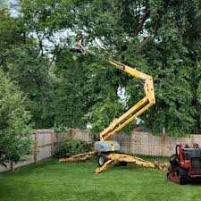 Best Tree Mulching  in Sconsin Rapids, WI